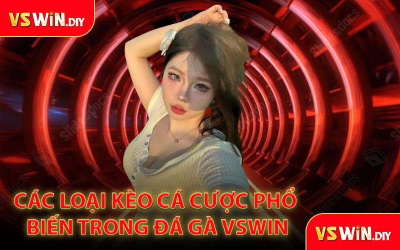Các Loại Kèo Cá Cược Phổ Biến Trong Đá Gà VSwin