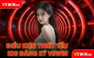 Điều kiện thiết yếu khi đăng ký VSWin