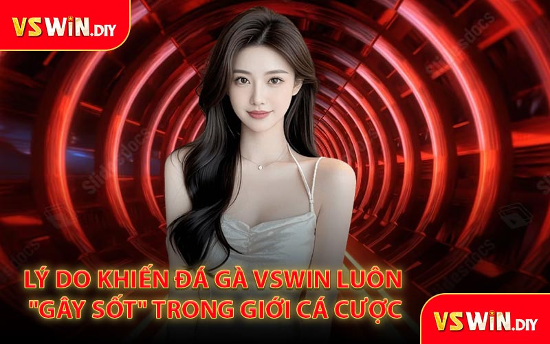Lý Do Khiến Đá Gà VSwin Luôn "Gây Sốt" Trong Giới Cá Cược
